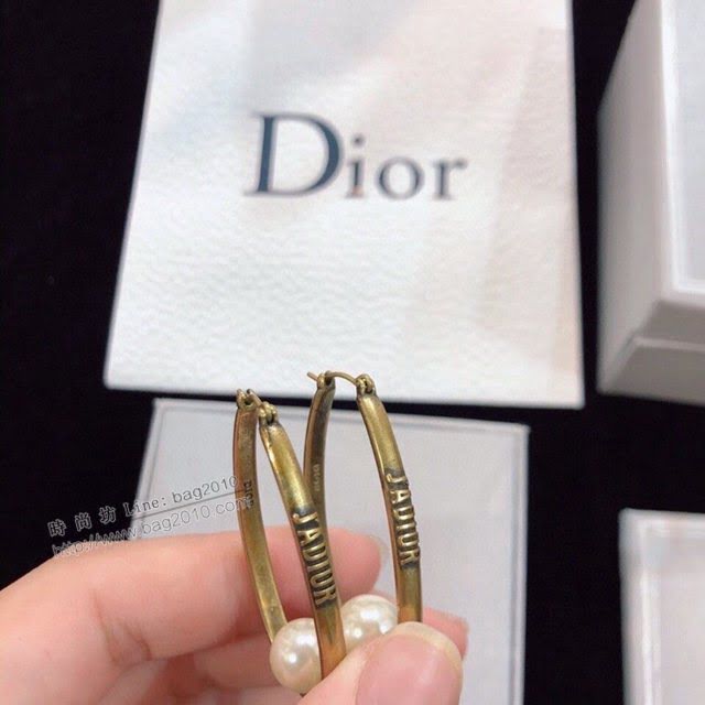 Dior飾品 迪奧經典熱銷款CD耳釘耳環  zgd1208